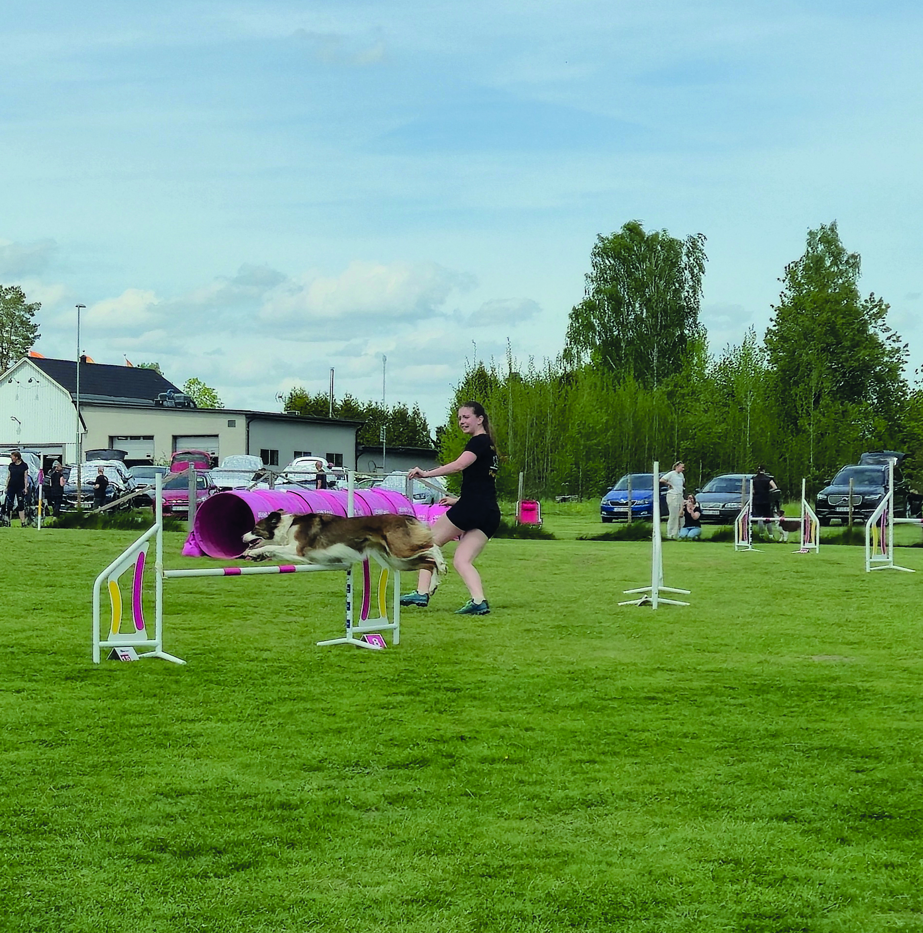 Fartfylld agilityhelg med Högsby Brukshundsklubb